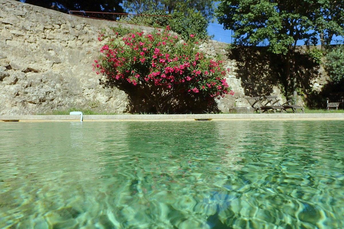 La Tuiliere En Luberon Cadenet Exterior foto